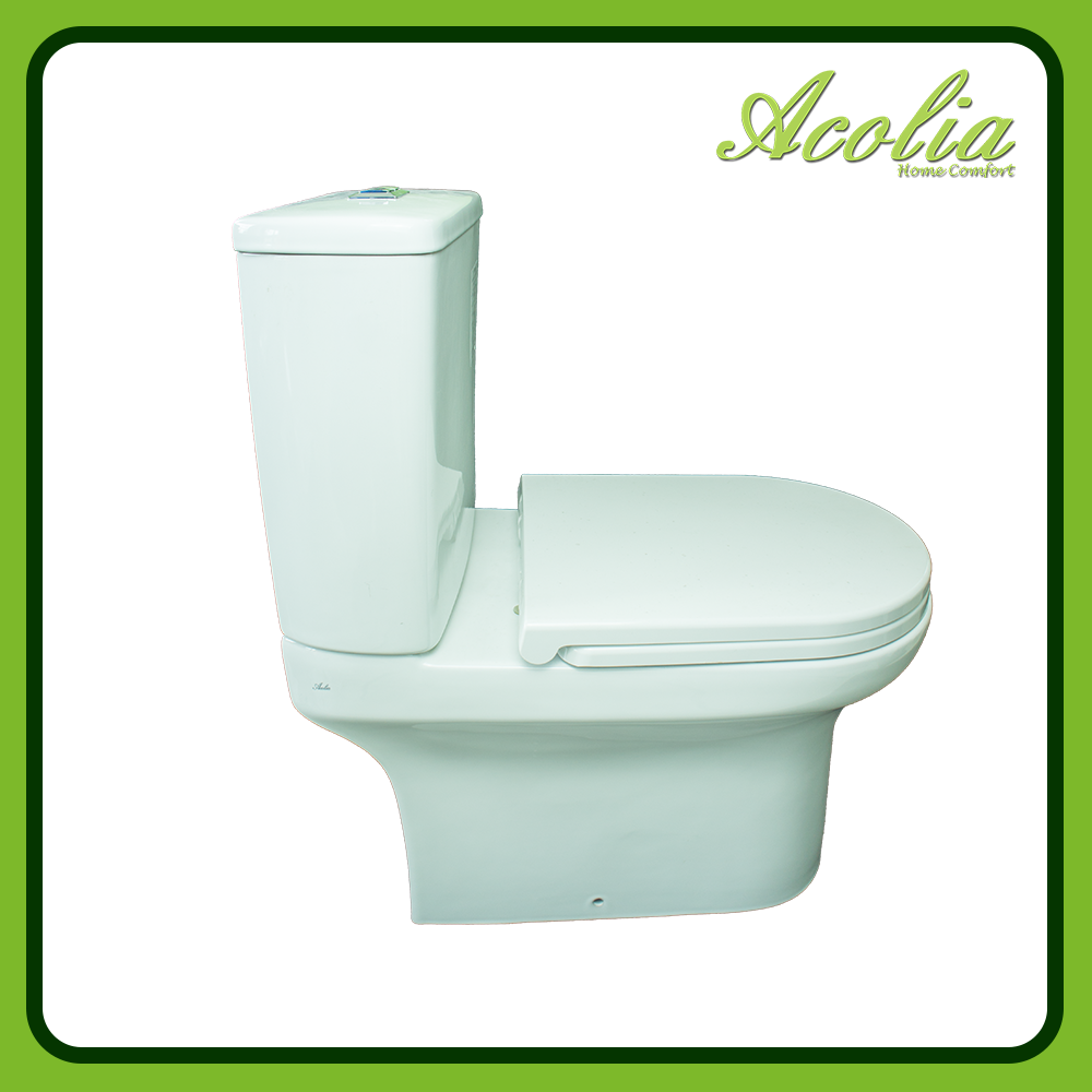 Acolia Oval 3113 Washdown Close Coupled Pedestal Water Closet Set - P ...